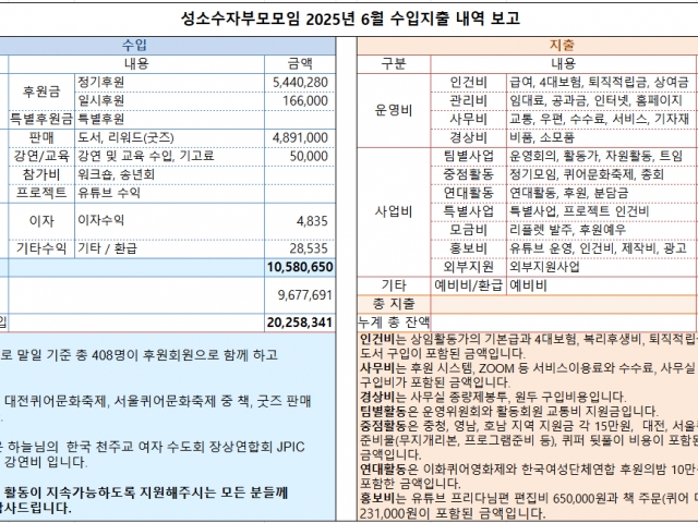 2025년 6월 수입지출내역 보고