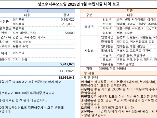 2025년 1월 수입지출 내역 보고